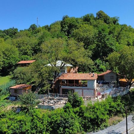 Sadmeli Winery Hotel Ambrolauri Buitenkant foto