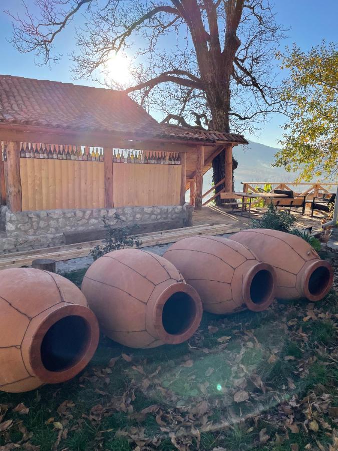 Sadmeli Winery Hotel Ambrolauri Buitenkant foto