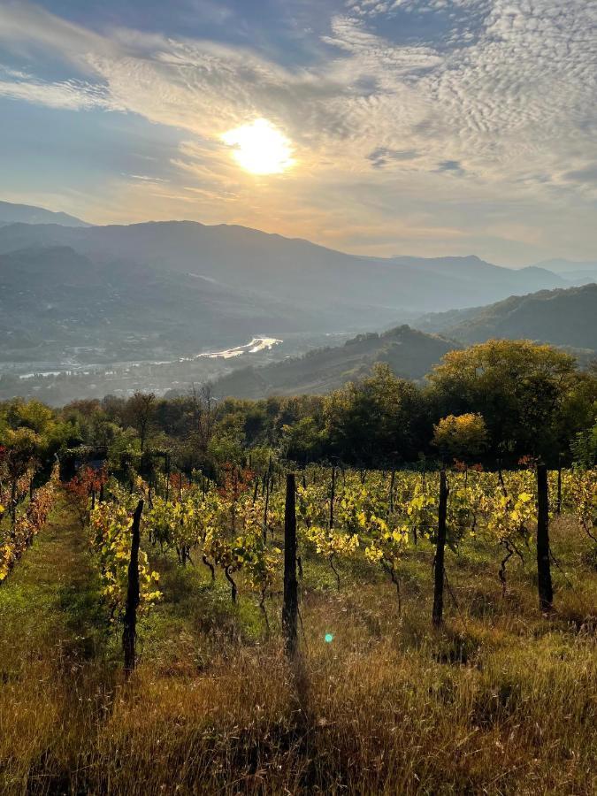 Sadmeli Winery Hotel Ambrolauri Buitenkant foto